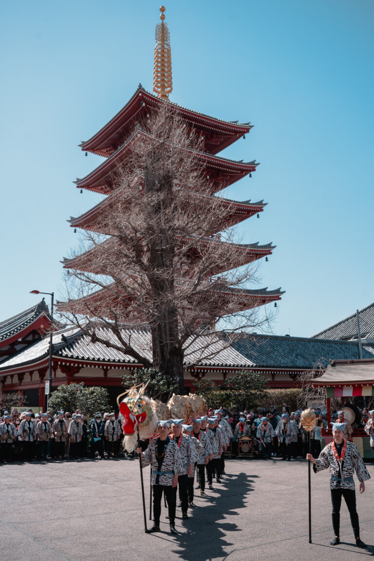 Danse and dragon Festival