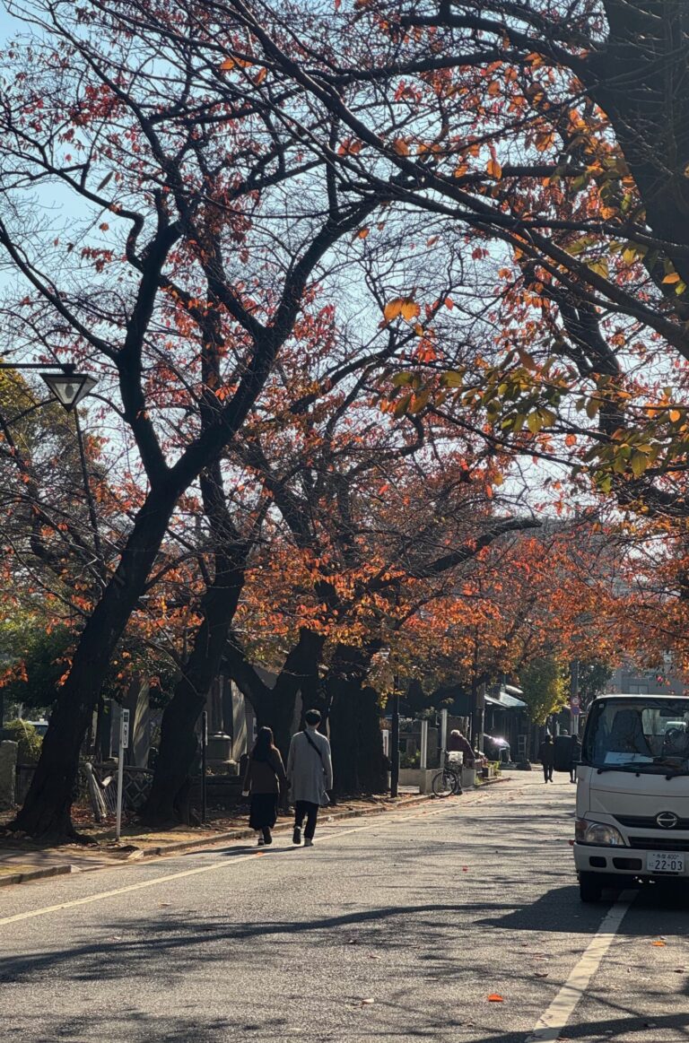 Couple walking - Yanaka cemetery