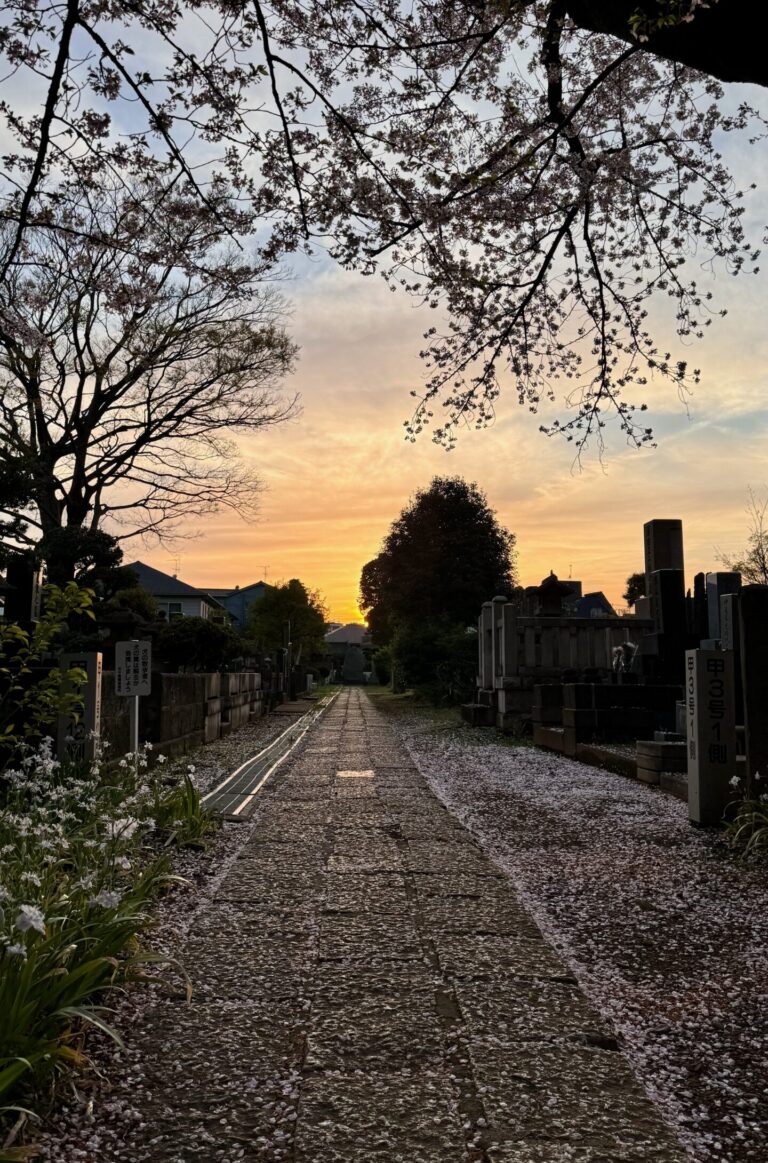 Sunset - Yanaka cemetery