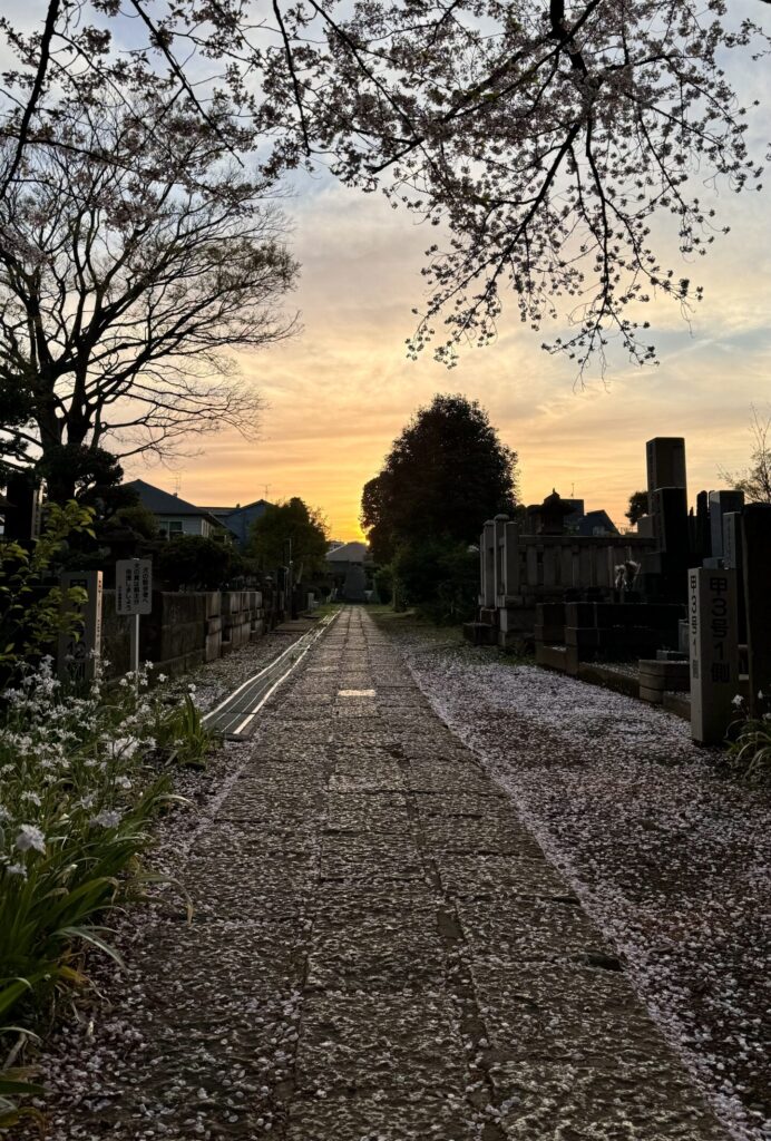 Sunset from the cemetery