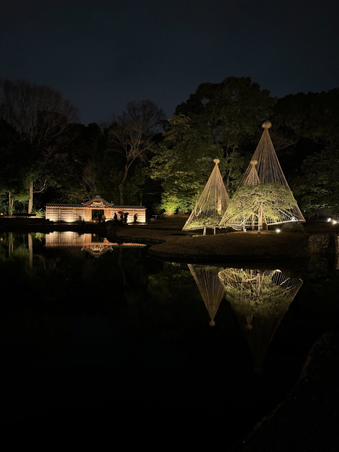 Night event in Koishikawa Korakuen