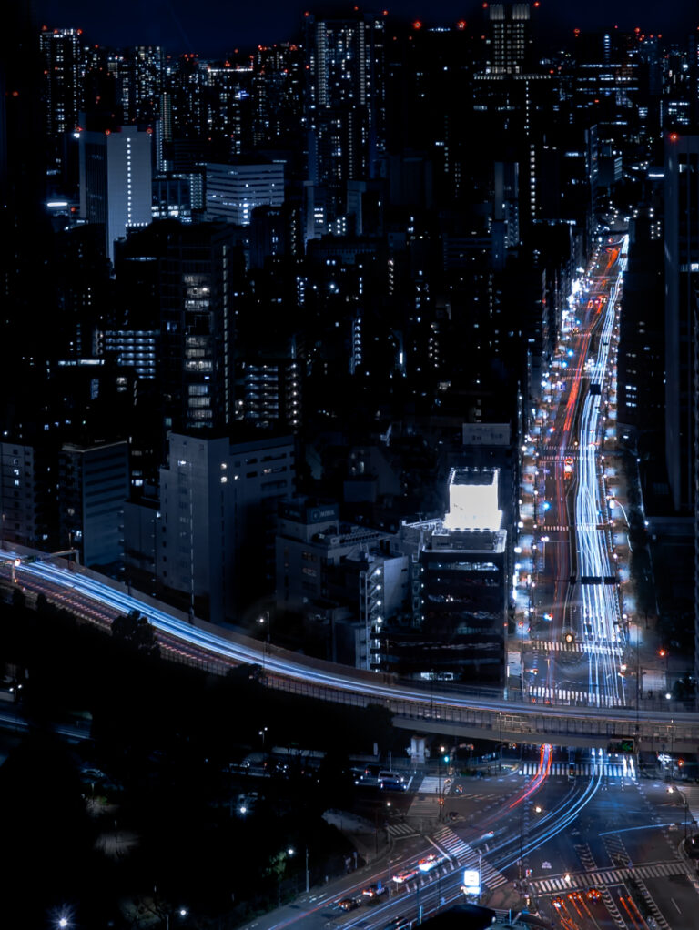 View from Tokyo tower