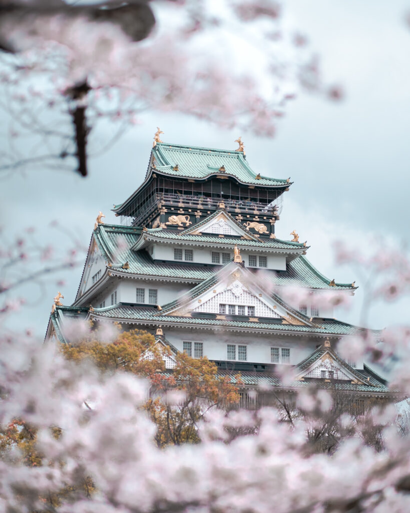 Chateau d'osaka au Japon devant les cierisiers en fleurs.