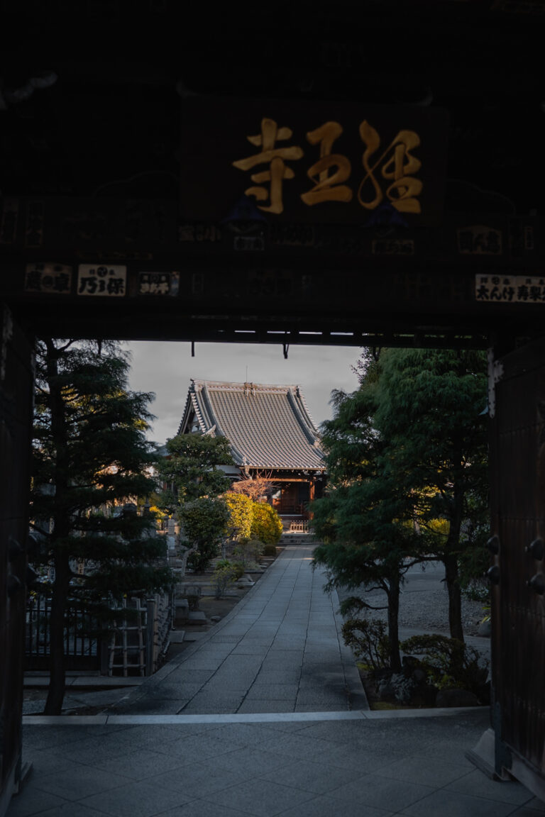 Temple - Yanaka