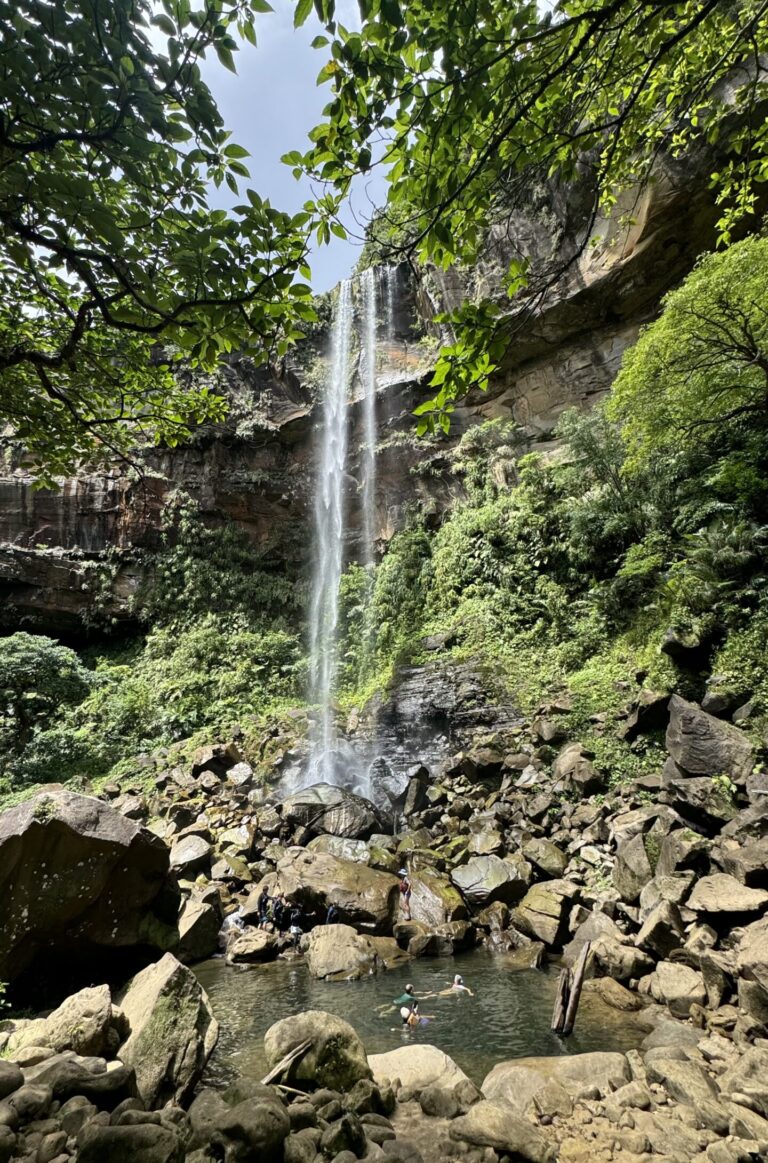 Waterfall - Iriomote