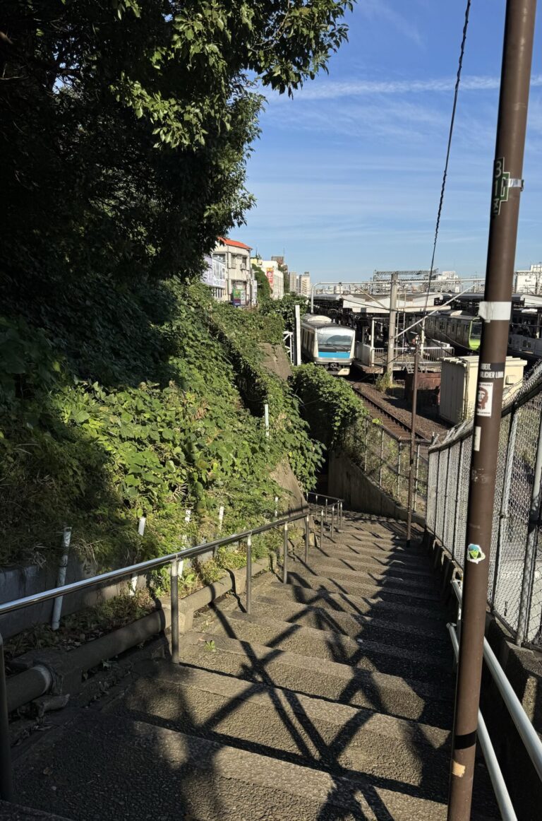 View on the train station near Yanaka