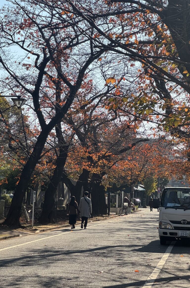 People walking on Sakura Doori in Yanaka