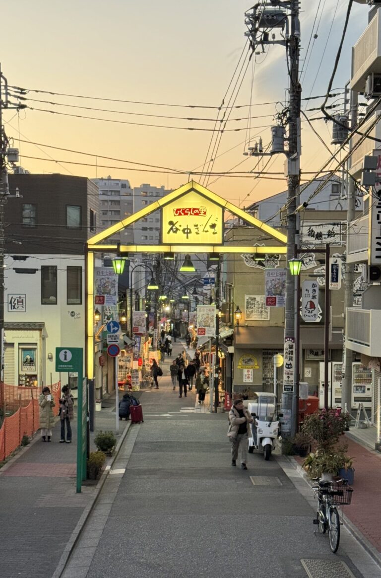 picture of Yanaka Ginza entrance from Yuyake dandan stairs in Yanaka
