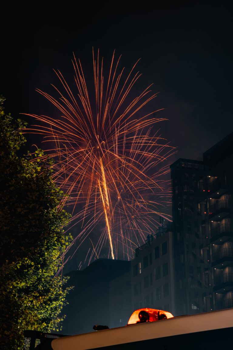 Sumida fireworks in 2024