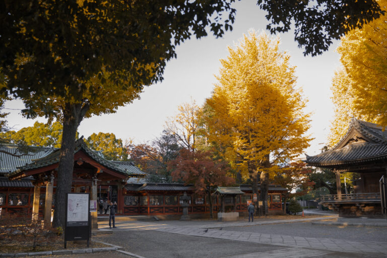 Place principale du sanctuaire Nezu à Tokyo