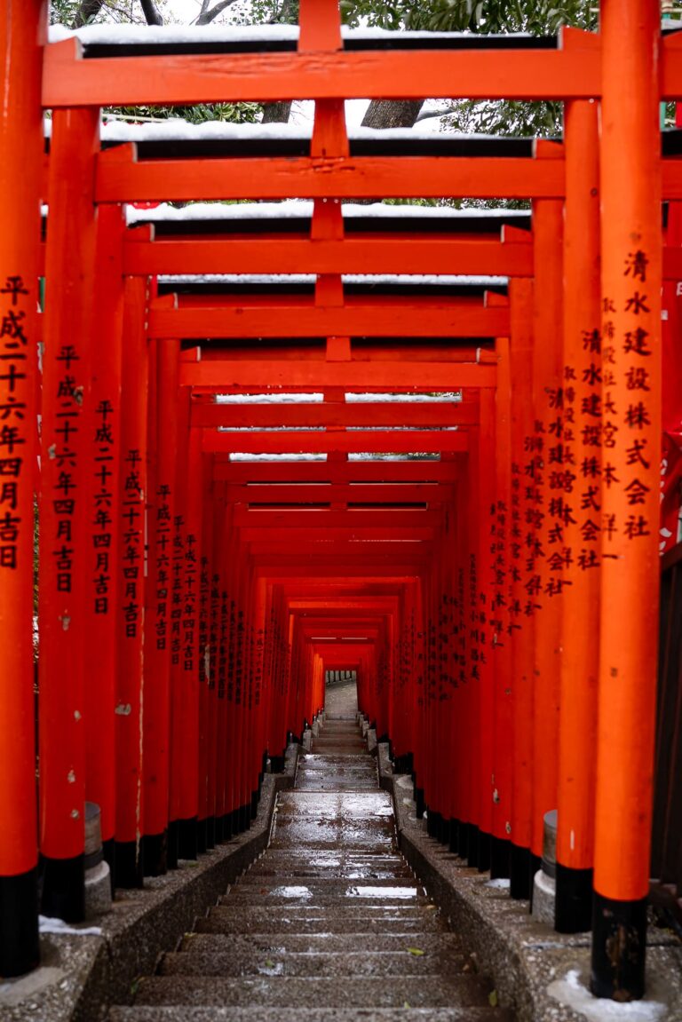 Entrance with lots of tori of Hie Shrine in Tokyo