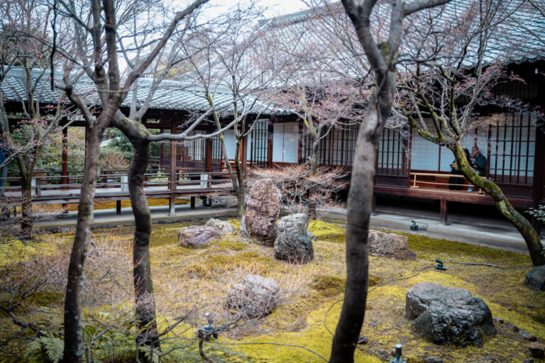 Jardin mousse du temple Kennin-Ji